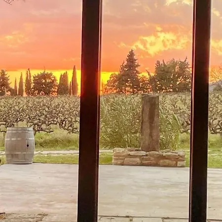 Luxury Provencal Amidst Own Vinyards Villa