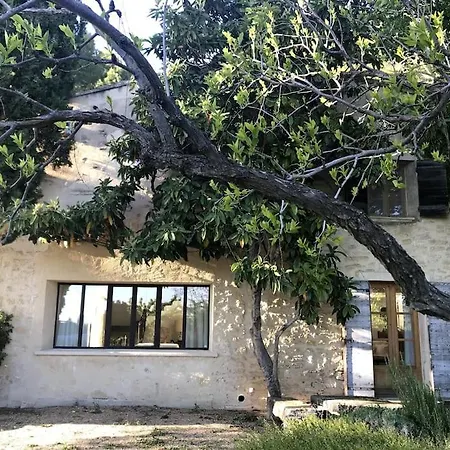 Luxury Provencal Amidst Own Vinyards Villa Caromb